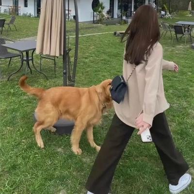 李娜